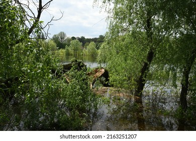 Spring Flood On The Desna River