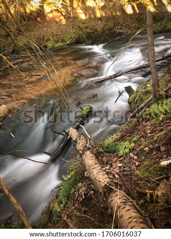 Spring flood waters creating rapid waterfall through forest stream