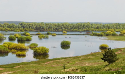 Spring. Floodplain Meadow Flooded With A River