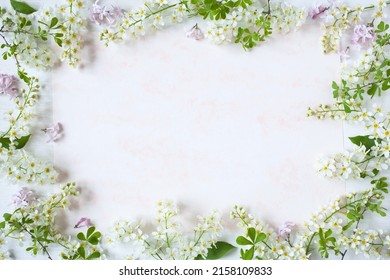 Spring Floral Background With Frame Bird Cherry Flowers, Pink Lilac Flowers, Leaves, Paper For Greeting Text. Card And Background For Mother's Day, Birthday, Wedding.