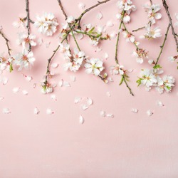 Spring floral background stock photo containing background and flat-lay ...