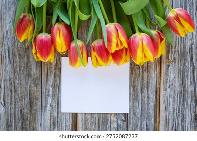 Spring floral flat lay with empty paper greeting card and fresh tulips on woodenbackground. 