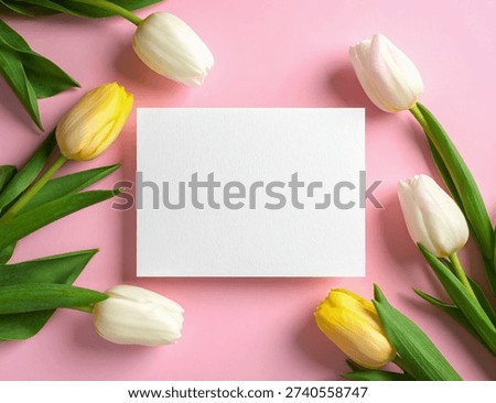 Spring floral flat lay with empty paper greeting card and fresh tulips on pink