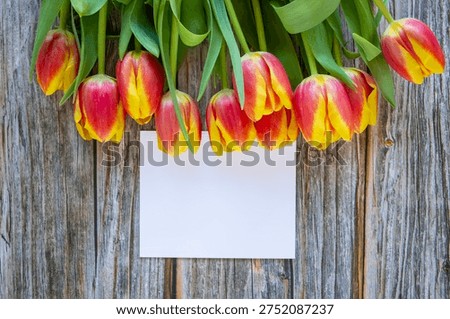 Spring floral flat lay with empty paper greeting card and fresh tulips on woodenbackground. 