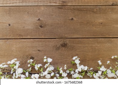 Spring Floral On Wood Shiplap Background