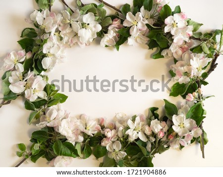 Spring flower background. Frame with apple blossoms. Top view, flat lay