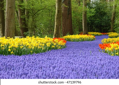 Spring flower bed - Powered by Shutterstock