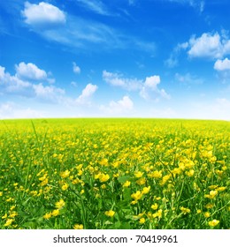 Spring Flower Field And Blue Sky.