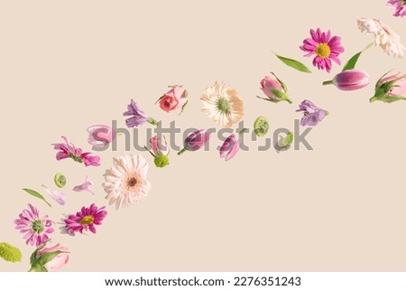 Spring flower floating on a cream background. Summer aesthetic concept.