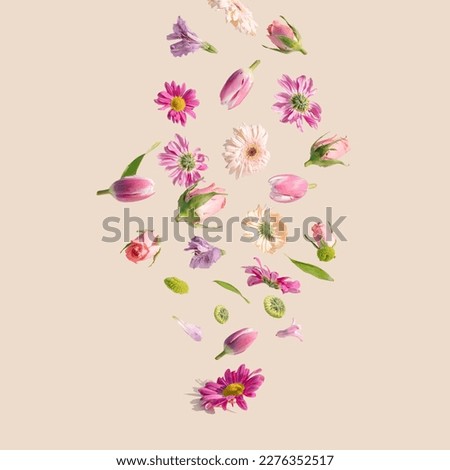 Spring flower floating on a cream background. Summer aesthetic concept.