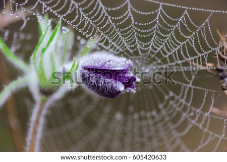 Similar – Image, Stock Photo signs of life Environment