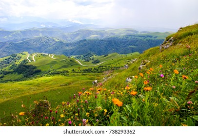Spring flower valley on Alpine mountain landscape - Shutterstock ID 738293362