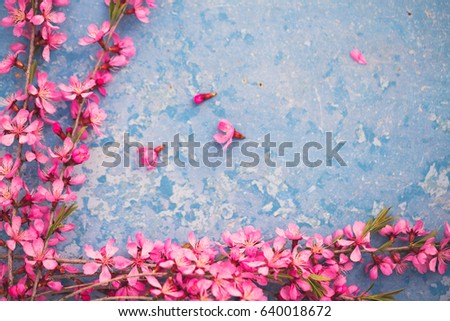 Similar – Carnation Flowers Frame Background