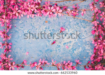 Similar – Carnation Flowers Frame Background