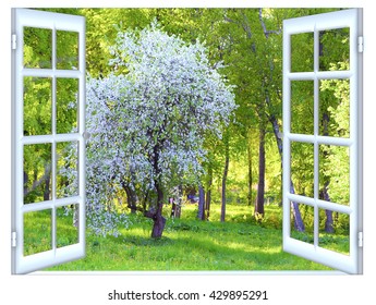 Spring flowering of fruit trees a sunny day the view from the window of a house