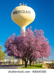 Spring Flowering Trees And Water Town In Meridian