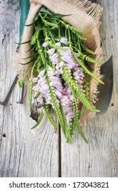 Spring flowers
