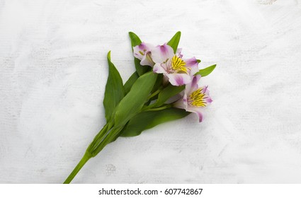 Spring flowers