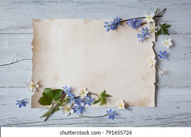 Spring flowers are anemones and snowdrops and paper for text on a wooden background.