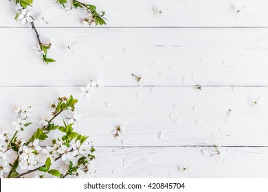 Background White With Flower gambar ke 10