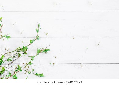 Spring flowers. Apple flowers on white wooden background. Flat lay, top view.
