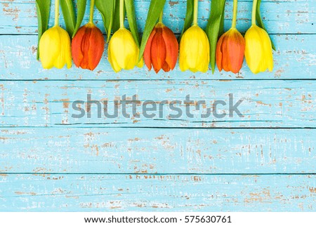 Similar – Image, Stock Photo Tulips red yellow orange purple