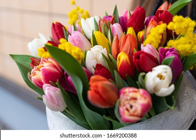 Spring Flowers Banner - Bunch Of Multi Color Tulips Flowers On White, Grey Background. Easter Day Mock Up Greeting Card. Tulip Congratulation Or Invitation Card With Free Space For Text. 