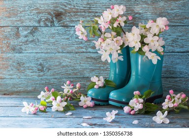 Flowers in Boots Images, Stock Photos & Vectors | Shutterstock