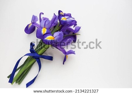 spring flowers. bouquet of lilac irises on a white background and space for text
