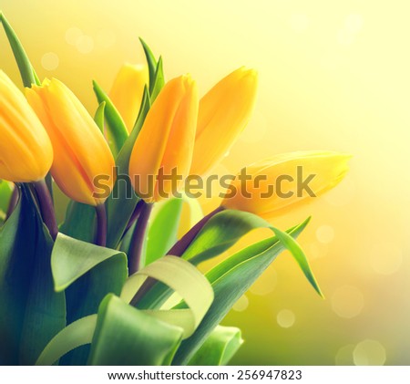 Spring Flowers bunch. Beautiful yellow Tulips bouquet. Elegant Easter or Mother's Day gift over nature green blurred background. Springtime. 