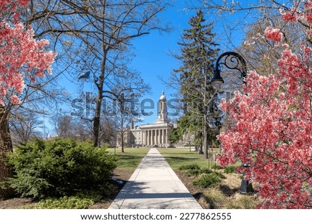 The spring flowers in the campus of Penn State University in sunny day, University Park, Pennsylvania.