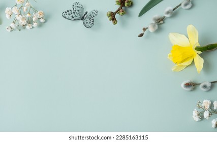 Spring flowers flat lay frame composition on colored background with copy space. Daffodils and willow with butterfly top view.