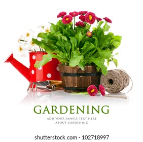spring flowers with garden tools isolated on white background