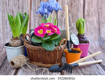 109,925 Flower pot soil Images, Stock Photos & Vectors | Shutterstock