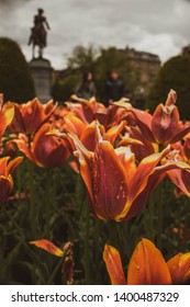 Spring Flowers And George Washington In Boston Public Garden