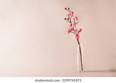 Spring flowers in glass vase still life. Blooming cherry branch on pink background. Simple minimalist home decor. Space for text - Powered by Shutterstock