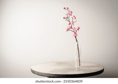 Spring flowers in glass vase still life. Blooming cherry branch on pink background. Simple minimalist home decor. Space for text - Powered by Shutterstock