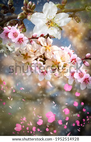 Similar – Spring blossom with blur