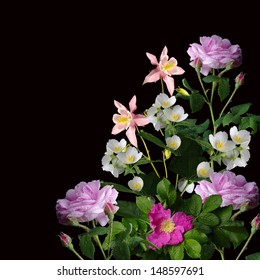 Spring Flowers On Black Background. Roses, Wild Rose, Lily Of Valley, Jasmine, Columbine Flowers  