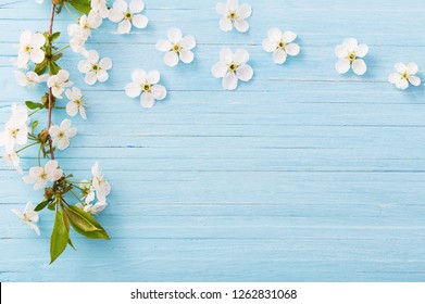 spring flowers on blue wooden background