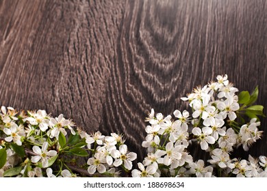 Spring flowers on dark wooden background