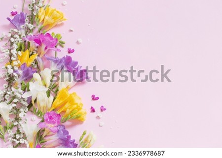 spring flowers on pastel pink background