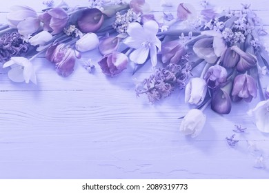 spring flowers on  purple background, color of year 2022