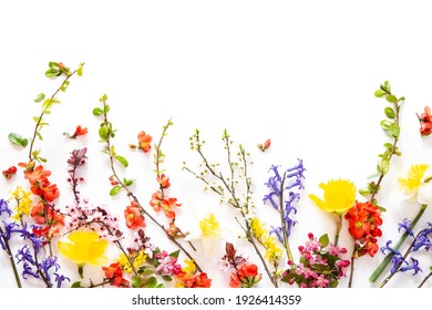 Spring Flowers On White Background