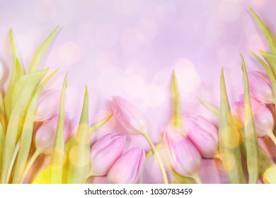 Spring Flowers On The Wooden Background, Greeting Card For Mothers Day, 8 March, Easter