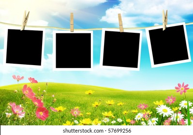 Spring Flowers With Photos On Clothes Line