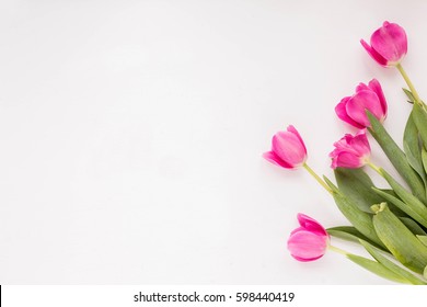 Spring Flowers. Pink Tulip On White Background. Flat Lay.