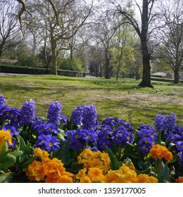 Spring Flowers In Southwark Park Rotherhithe London