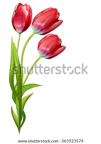 Similar – Image, Stock Photo Red Tulip Nature Plant