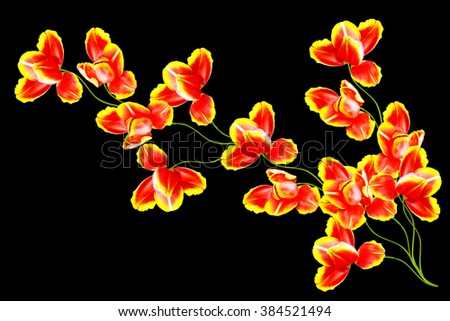 Image, Stock Photo Tulips white red Plant